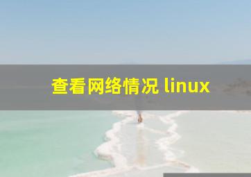 查看网络情况 linux